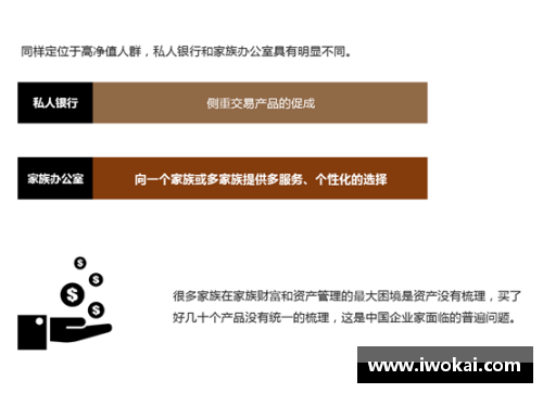 九州酷游官方网站2023年家族办公室研究报告：财富传承的新视角 - 副本 - 副本